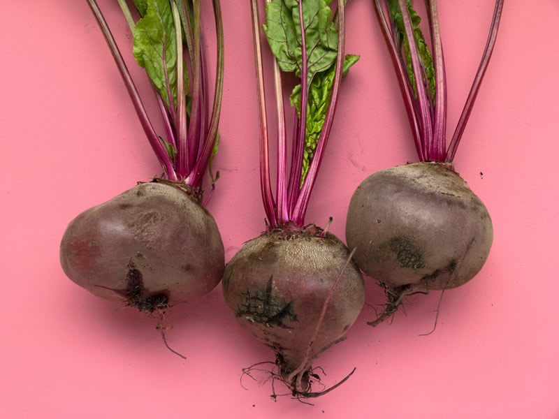 beetroot