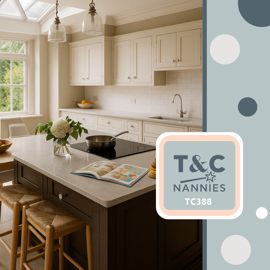 Daily Housekeeper / Nanny (Private Household)